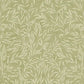 Salix Leaves Wallpaper Wallpaper Inn