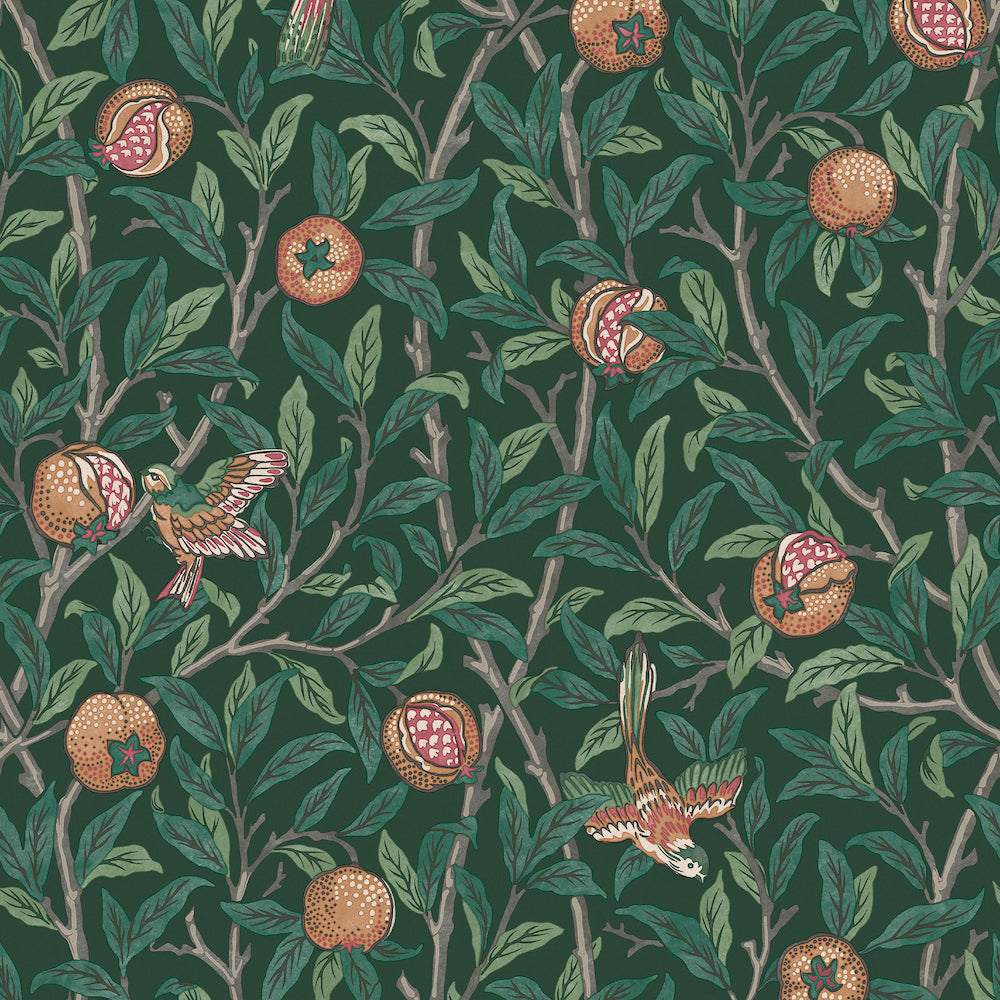 Bird & Pomegranate Wallpaper Wallpaper Inn