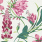 Botanist Scroll Pink Wallpaper