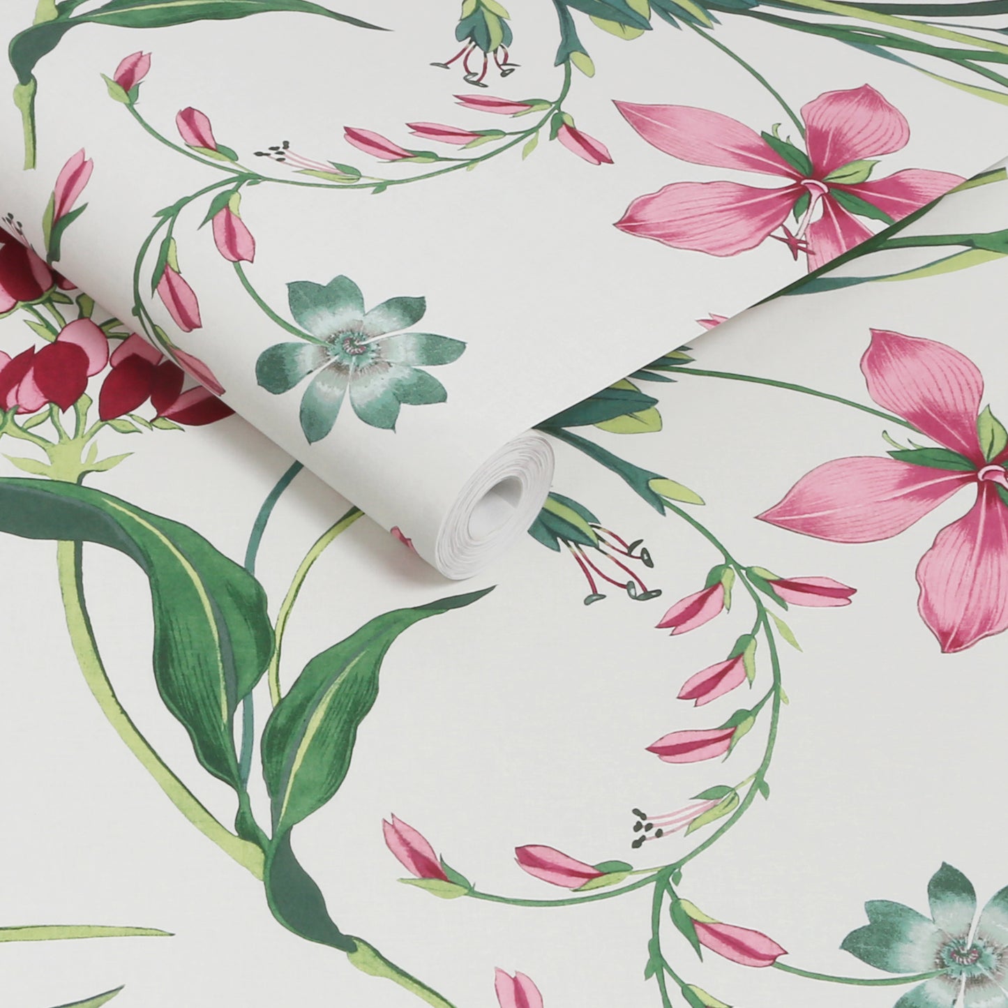 Botanist Scroll Pink Wallpaper