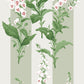 Foxglove Stripe Sage Wallpaper