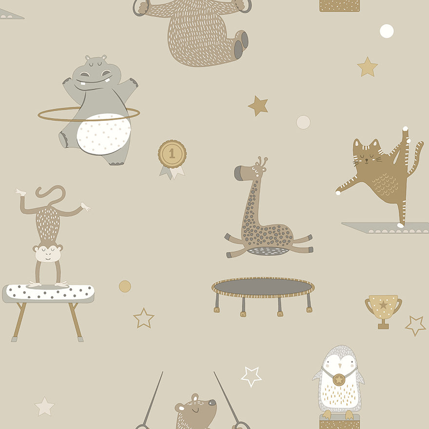 Animal Gymnastics Kids Wallpaper Wallpaper Inn