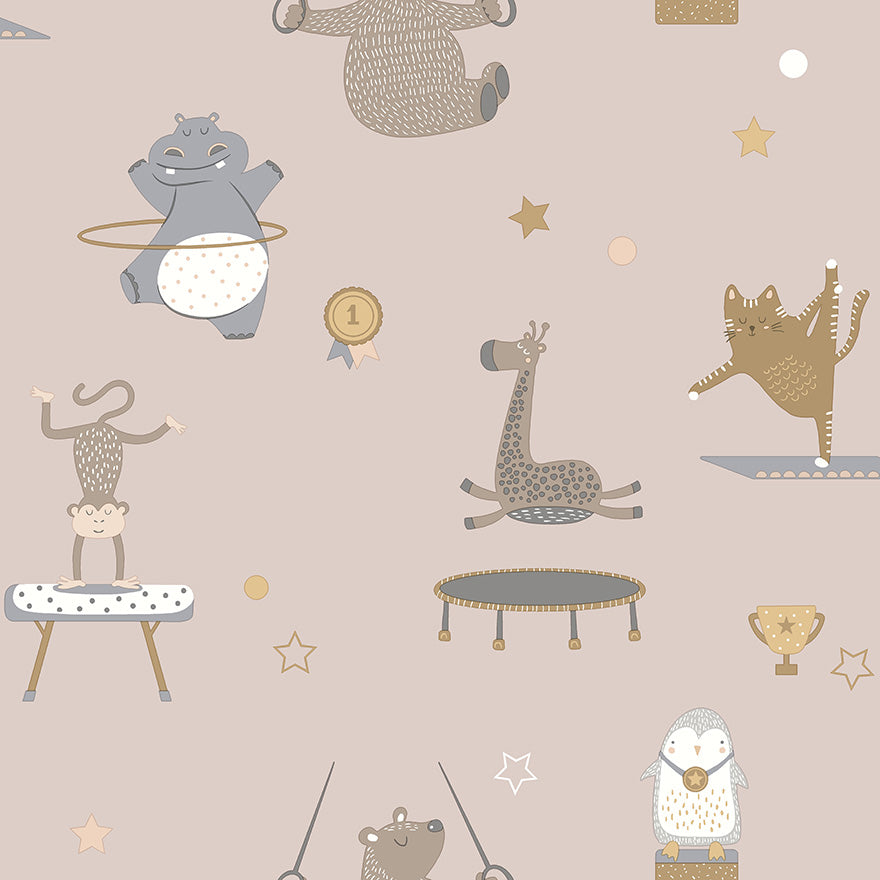 Animal Gymnastics Kids Wallpaper Wallpaper Inn