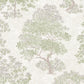 Elmwood Sage