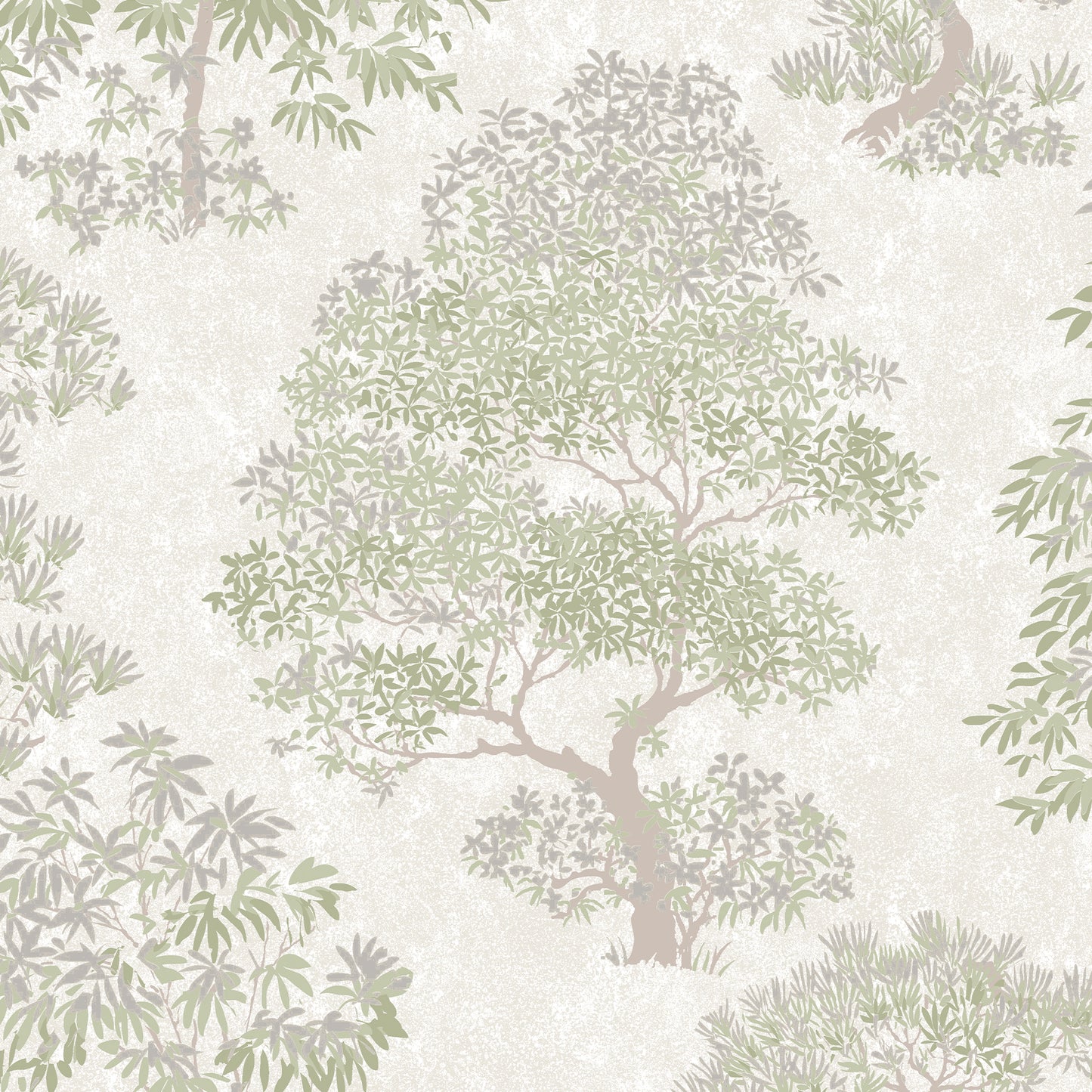 Elmwood Sage