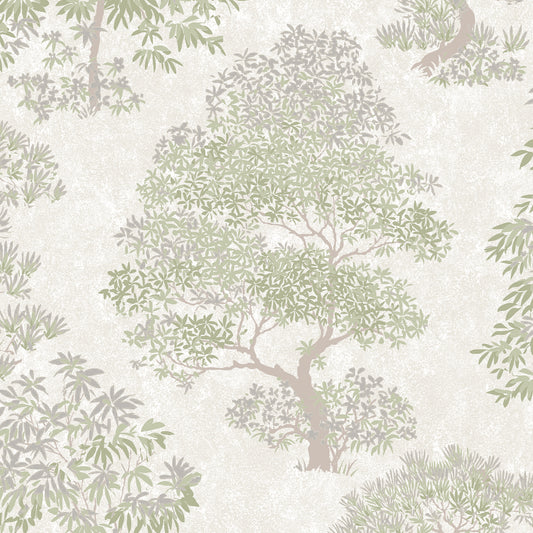 Elmwood Sage