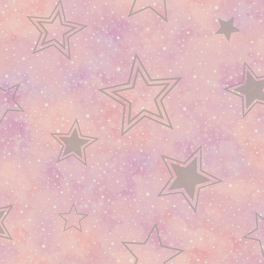 Stardust Pink / Silver