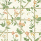 Trailing Floral Trellis Orange Cream