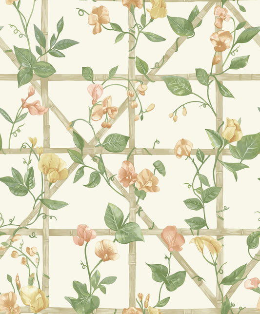 Trailing Floral Trellis Orange Cream
