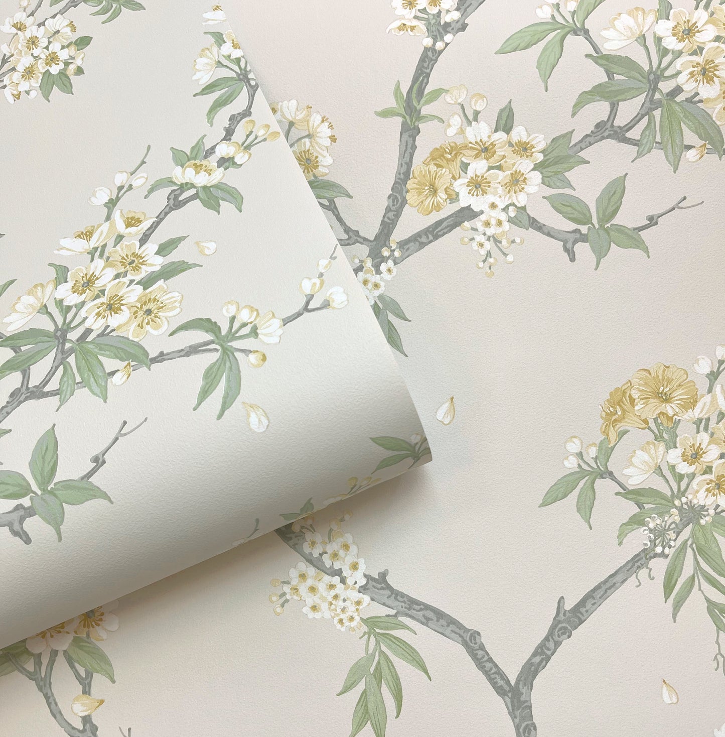 Cherry Blossom Yellow Cream