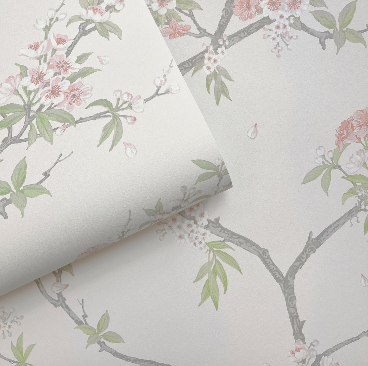 Cherry Blossom Pink Cream