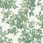 Orange Tree Cream Green