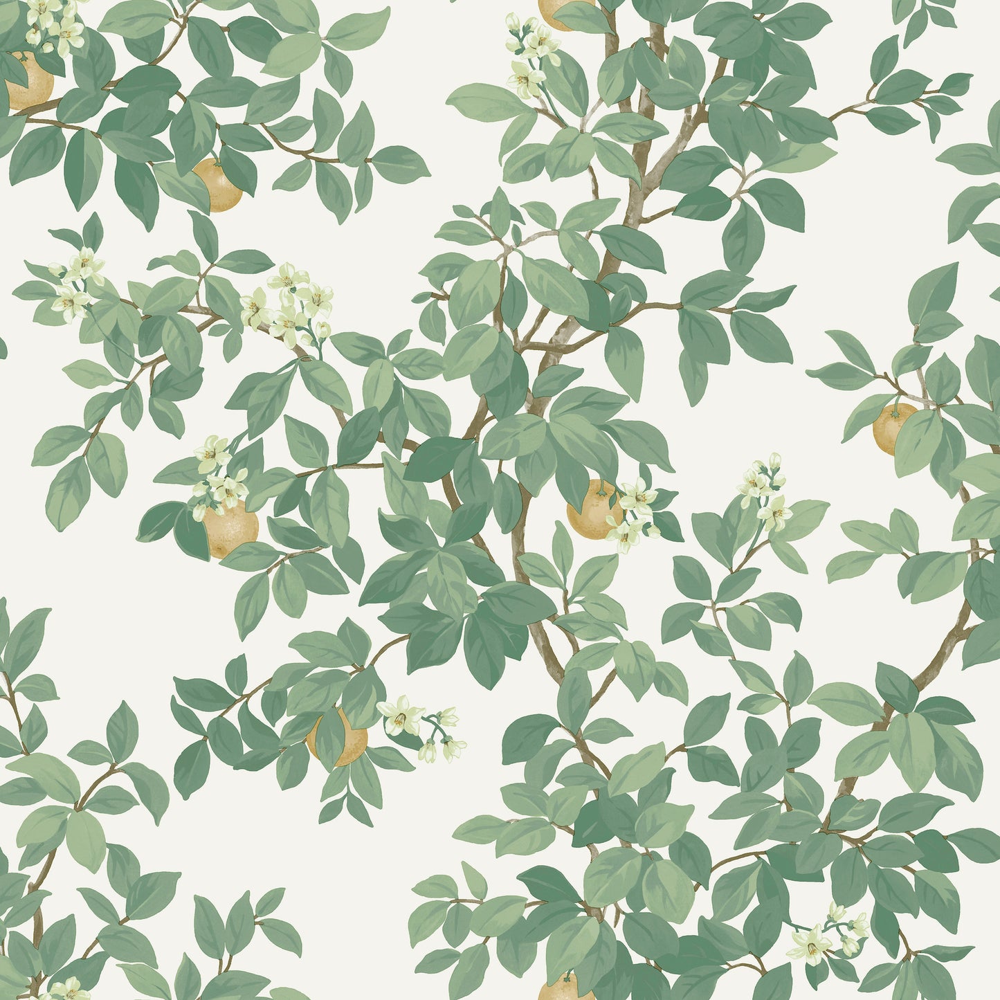 Orange Tree Cream Green
