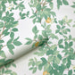 Orange Tree Cream Green