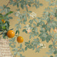 Orange Tree Ochre