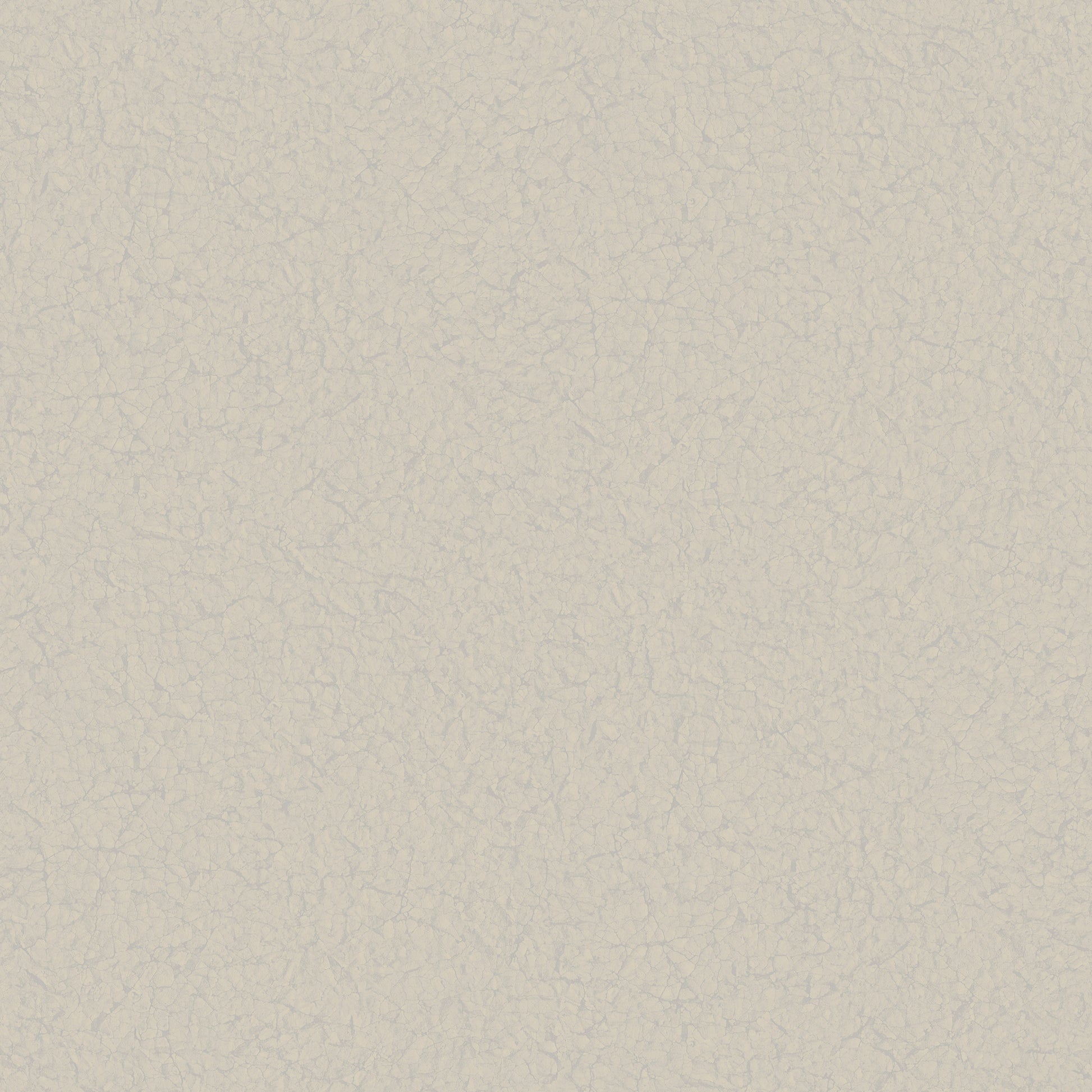 Echo Texture Chalk - Wallpaper Inn 