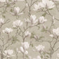 Petalina Wallpaper Wallpaper Inn