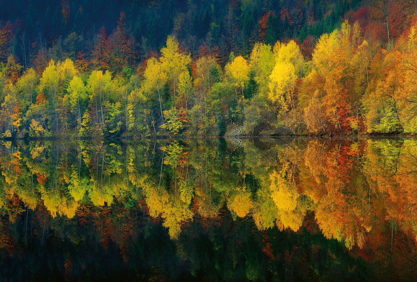 Autumn Forest Lake Wallpaper Inn