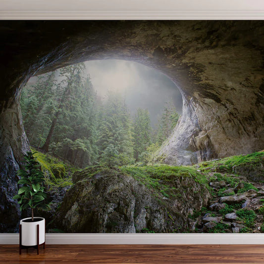 Cave in Forest Mural Wallpaper Inn