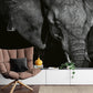 Beautiful Elephant Mural Wallpaper Inn