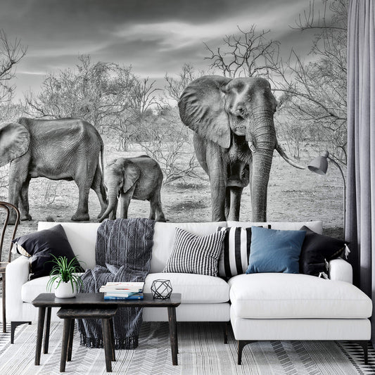 Elephant Family Mural Wallpaper Inn