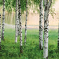 Nordic Forest Wall Mural Wallpaper Inn