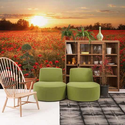 Poppy Field in Sunset Mural Wallpaper Inn