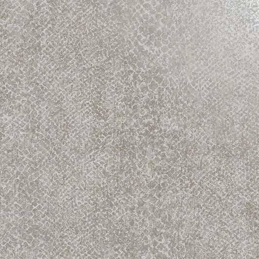 Boa Grey - Wallpaper Inn 