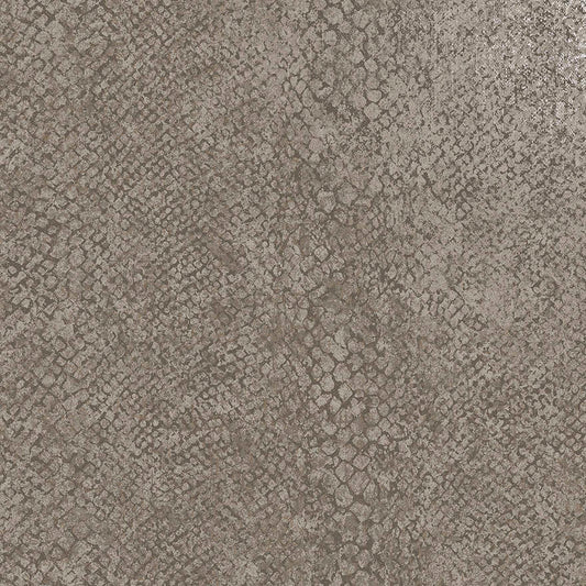 Boa Taupe - Wallpaper Inn 