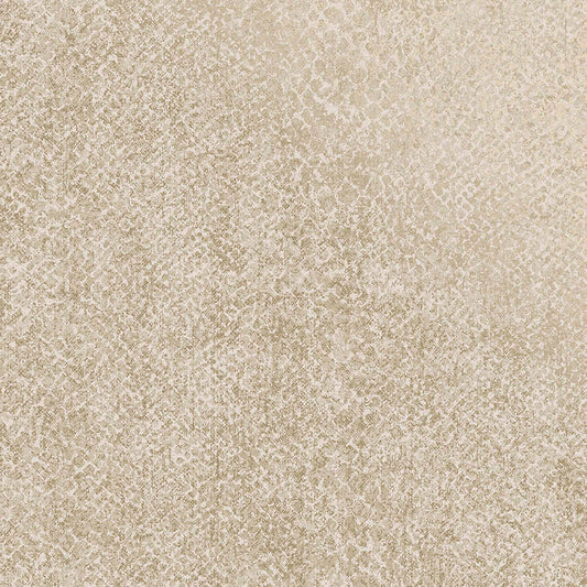 Boa Cream - Wallpaper Inn 