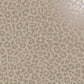 Sundra Mink - Wallpaper Inn 