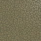 Sundra Green - Wallpaper Inn 