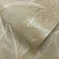 Anthurium Beige - Wallpaper Inn 