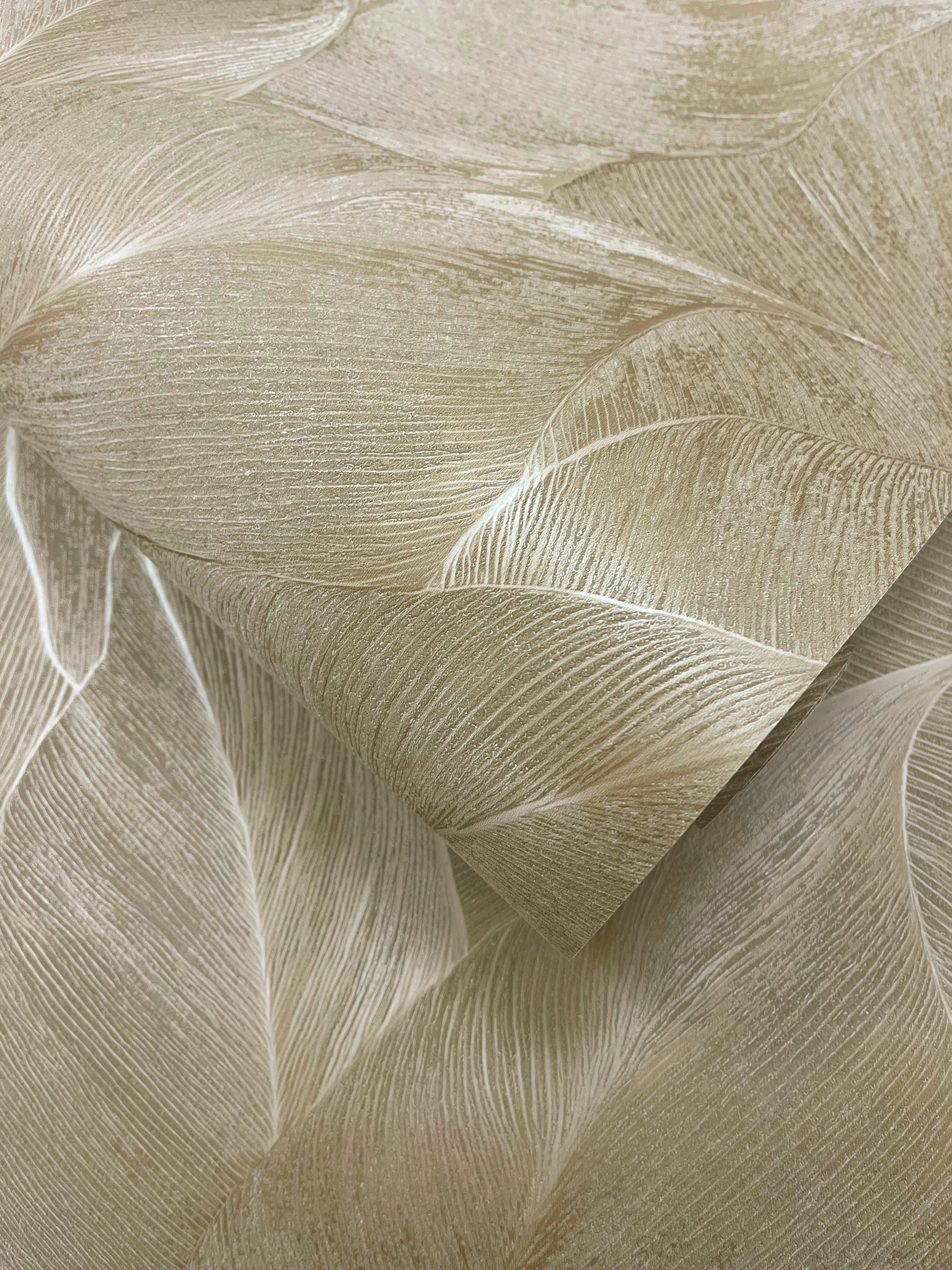 Anthurium Beige - Wallpaper Inn 