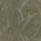 Anthurium Green - Wallpaper Inn 
