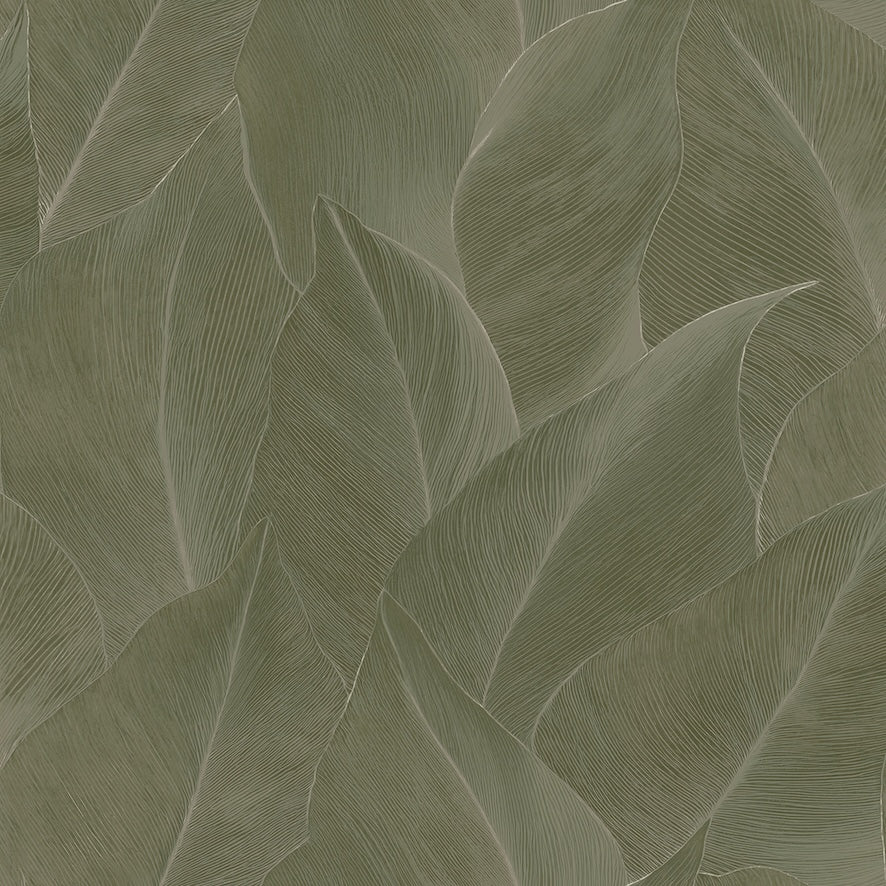 Anthurium Green - Wallpaper Inn 
