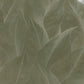 Anthurium Green - Wallpaper Inn 