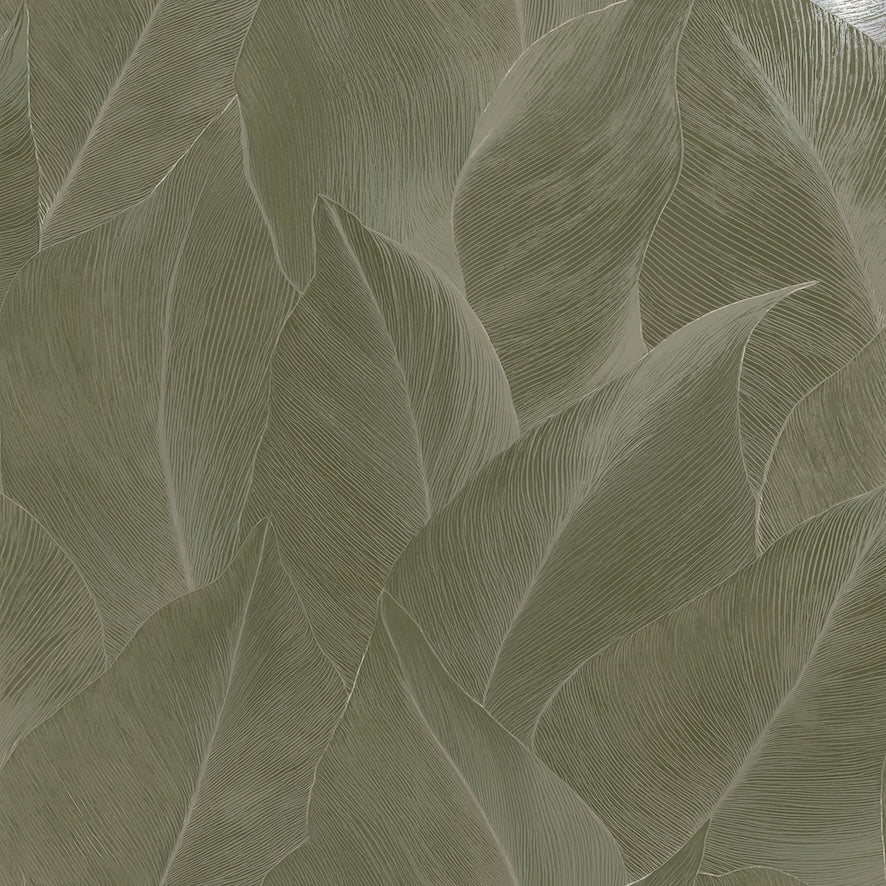 Anthurium Green - Wallpaper Inn 