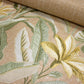 Emerson Plain Liberty