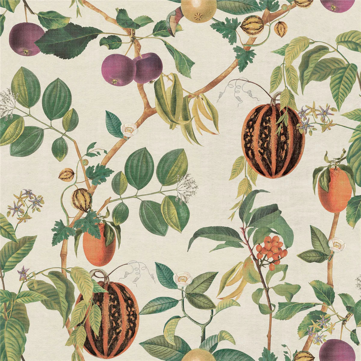 Tropic House Wallpaper Wallpaper Inn