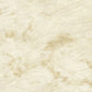 Canalgrande - Polished Bone