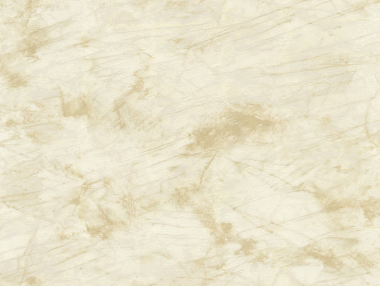 Canalgrande - Polished Bone