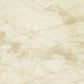 Canalgrande - Polished Bone