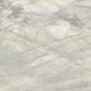 Canalgrande - Silver Dust - Wallpaper Inn 