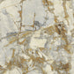 Polvaccio - Calacatta - Wallpaper Inn 