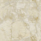 Polvaccio - Golden Ivory - Wallpaper Inn 