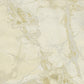 Polvaccio - Golden Ivory - Wallpaper Inn 