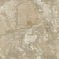 Polvaccio - Honey Beige - Wallpaper Inn 