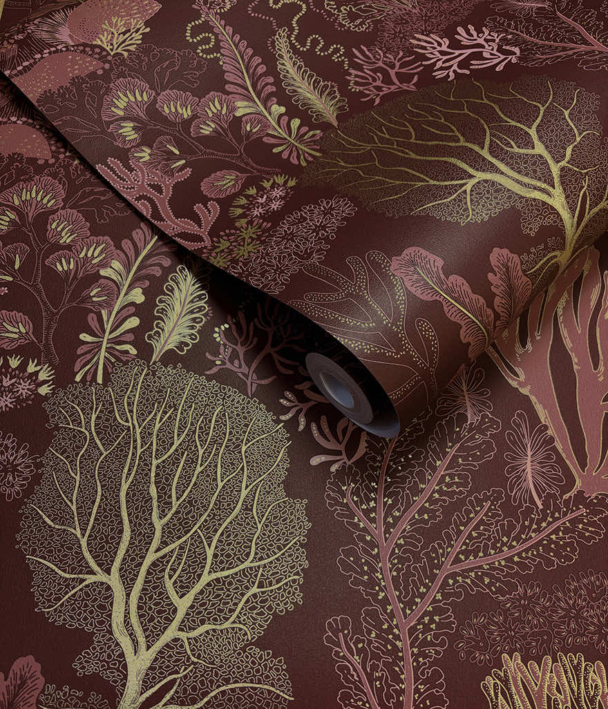 Nautilus Berry - Wallpaper Inn 