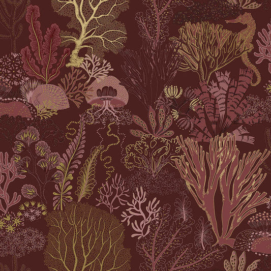 Nautilus Berry - Wallpaper Inn 